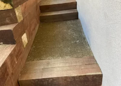 Professional Lawn Care Service