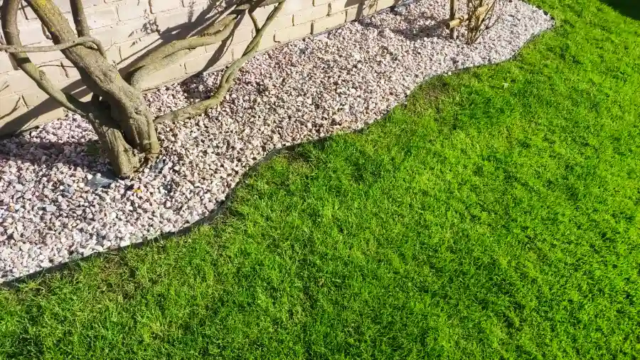 Choosing the Right Material for Long-Lasting Landscape Edging Reseda, CA