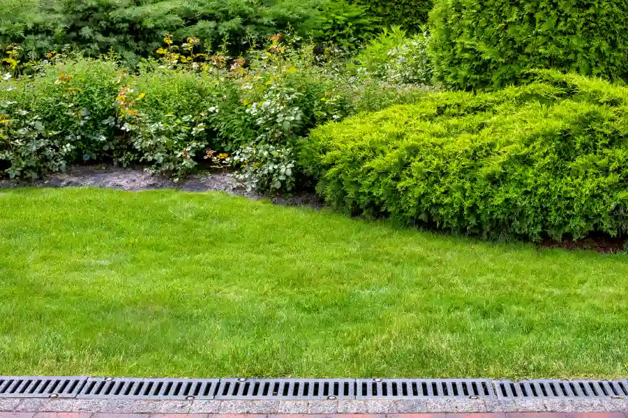 Choosing the Right Material for Long-Lasting Landscape Edging in Reseda, CA