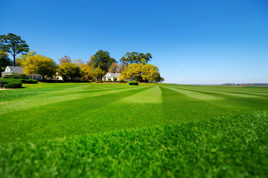 Professional Lawn Care Service in Reseda, CA