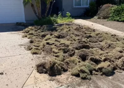 Residential Landscaping Services