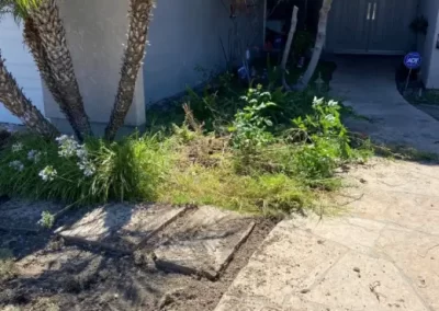 Residential Landscaping Services