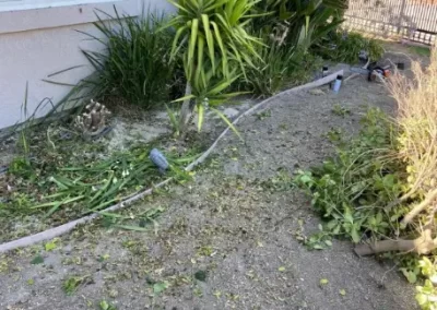 Residential Landscaping Services