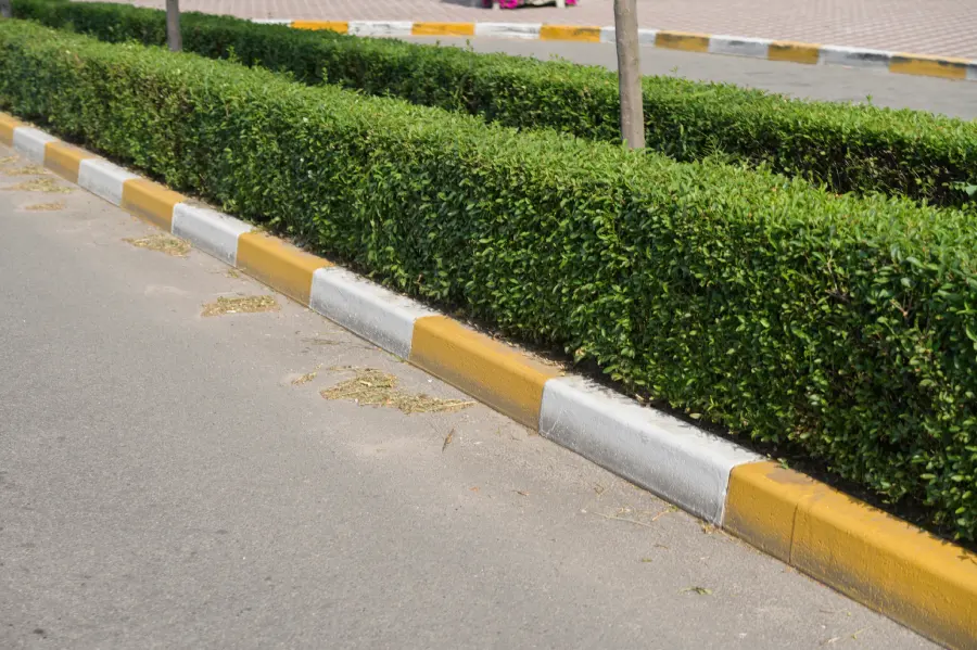 The Role of Landscape Curbing in Defining Garden Borders Reseda, CA