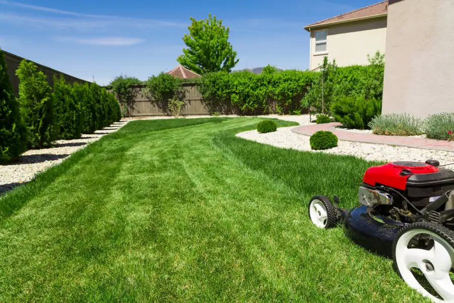 Understanding the Role of Soil Health in Lawn Care Success in Reseda, CA